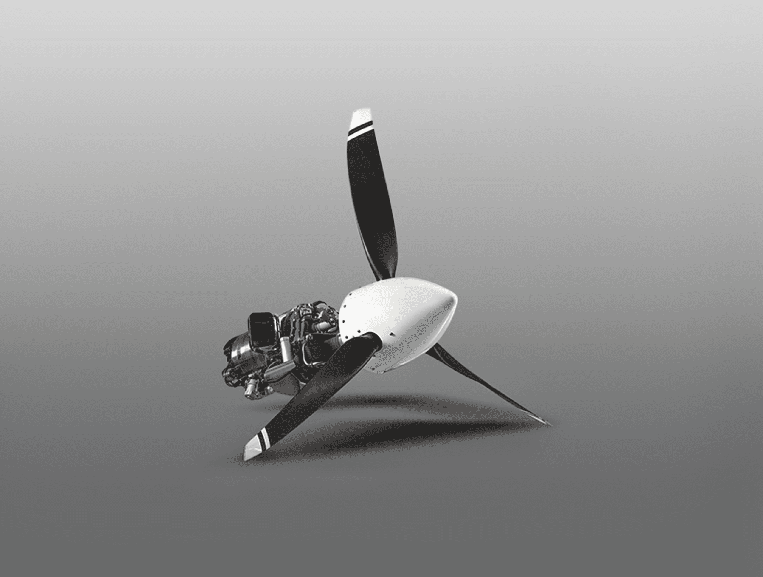 Produktová varianta PBS TP100